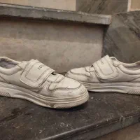 کتانی سفید اسپورت|کیف، کفش، کمربند|تهران, شهرک رضویه|دیوار