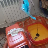 وسایل و اسباب بازی|لوازم جانبی حیوانات|تهران, زرکش|دیوار