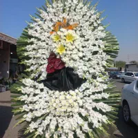 تاج گل قیمت مناسب