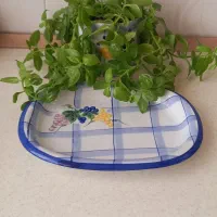 ظروف گل پنبه ای