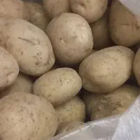 سیب زمینی درجه یک  فریدن