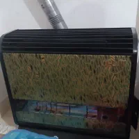 فروش بخاری گازی