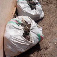 کود مرغ مرغوب باغی خالص