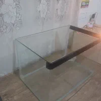 یک عدد اکفاریم خم