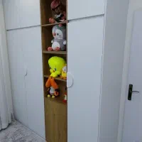 ساخت و تعمیرات کابینت و کمد و مصنوعات چوبی|خدمات پیشه و مهارت|کرمانشاه, |دیوار