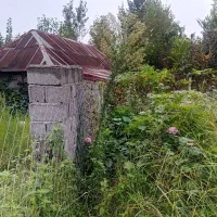 زمین-مسکونی-زیبا-در-منطقه-بکر-گیلان