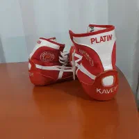 کفش کشتی|تجهیزات ورزشی|وحیدیه, |دیوار