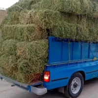 یونجه چین اول