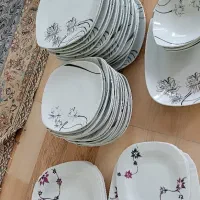 ظرف چینی و آرکوپال