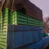 سبد میلورم نو|ظروف نگهدارنده، پلاستیکی، یک‌بارمصرف|نجف‌آباد, امیرآباد|دیوار