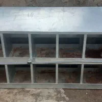 مرغ سفید تخم گذار پرصاف|حیوانات مزرعه|مشهد, رباط طرق|دیوار