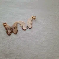 پلاک زیر ۱ گرم
