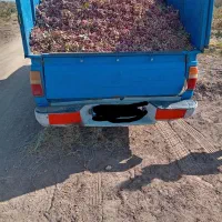 خدمات حمل بار و پسته