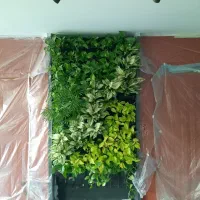 مجری فضای سبز و مه پاش