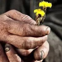جویای کار هستم