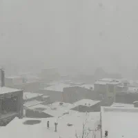 مال وام دار اسینم