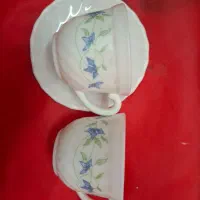 فنجون لیوان