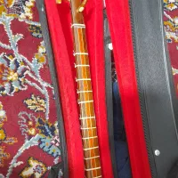 سه تار ترکه ای زه دار|سازهای سنتی|کرمان, |دیوار