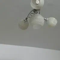 لوسترچهار گل