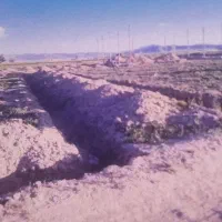 زمین  چسبیده به طرح هادی