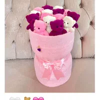 بوکت تدی|اسباب‌‌بازی|کرج, عظیمیه|دیوار