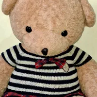 خرس خارجی بزرگ|اسباب‌‌بازی|فولادشهر, A6|دیوار