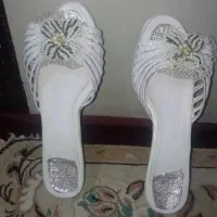 دمپایی مجلسی