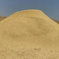کاه نخود