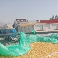 ماشین کرایه ای