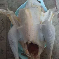 گوشت پاک شده بوقلمون غاز و خروس محلی