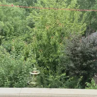 ۷۰۰متر با ۴۰۰ متر بنا تریبلکس .کمسیون + ۴سکه مشاور