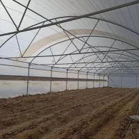 فروش گلخانه خانگی 300متری کاشته شده سوران هست|فروش دفتر صنعتی، کشاورزی، تجاری|سیب و سوران, |دیوار