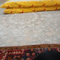 تشک پشمی|رختخواب، بالش، پتو|قم, زاد|دیوار