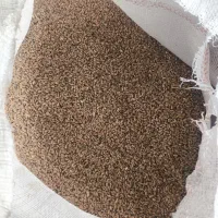 فروش گندم|خدمات باغبانی و درختکاری|امیدیه, |دیوار