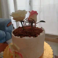 کیک و دسر خانگی|خوردنی و آشامیدنی|فولادشهر, مسکن مهر فولادشهر|دیوار