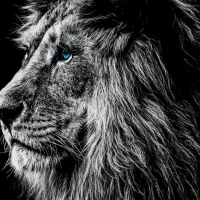 خط ایرانسل  09357009295