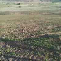 زمین کشاورزی|فروش دفتر صنعتی، کشاورزی، تجاری|خلخال, |دیوار