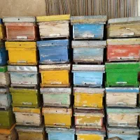 کندوی زنبور عسل ،،رمکه،،موم کلوخ