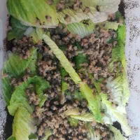 حلزون آچاتینا