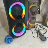 اسپیکر قوی نو با کارتن با رقص نور میکروفون