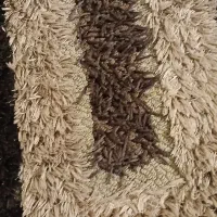 قالیچه درحدنو|فرش|رشت, سعدی (تختی)|دیوار