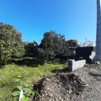 فروش زمین۲۷۰متری در لپاسرک رامسر|فروش زمین و ملک کلنگی|رامسر, |دیوار