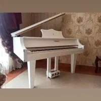 پیانو بیبگرند و مینیگرند الکترونیک|پیانو، کیبورد، آکاردئون|تهران, جمهوری|دیوار