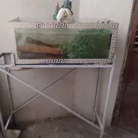 آکواریوم