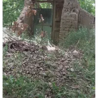 باغچه-در-روستای-گیو