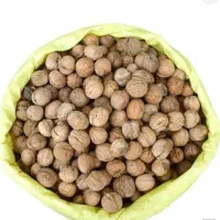گردو