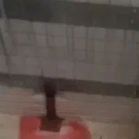 نیازمندنیروساده ،پرداخت روزانه