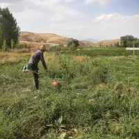 باغ در منطقه ویلایی بارلی