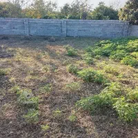 زمین فروشی هم تجاری مسکونی هم کشاورزی|فروش زمین و ملک کلنگی|ارطه, |دیوار