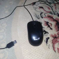 موس سالم